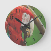 Tropische rode papegaai ronde klok (Voorkant)