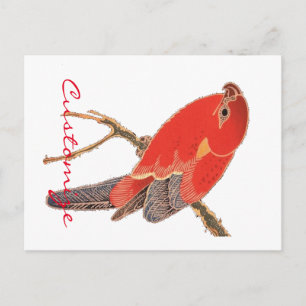 Tropische rode papegaai Thunder_Cove Briefkaart