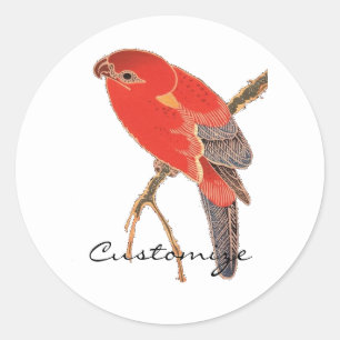 Tropische rode papegaai Thunder_Cove Ronde Sticker
