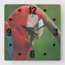 Tropische rode papegaai vierkante klok