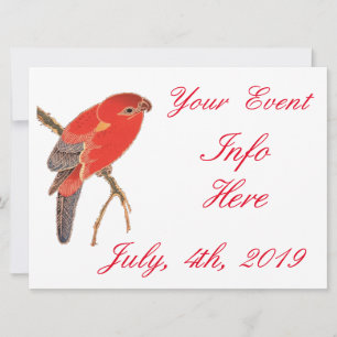 Tropische rode papegaaiverkloer Thunder_Cove