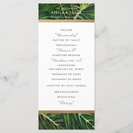 Tropische Romance II Programmakaart