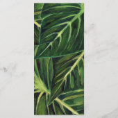 Tropische Romance II Programmakaart (Achterkant)