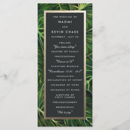 Tropische Romance / Programma Programmakaart