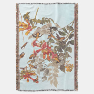 Tropische roofvogels van Audubon Deken