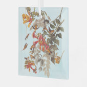 Tropische roofvogels van Audubon Glas Ornament (Voorkant links)