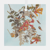 Tropische roofvogels van Audubon Glas Ornament (Achterkant)