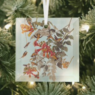 Tropische roofvogels van Audubon Glas Ornament