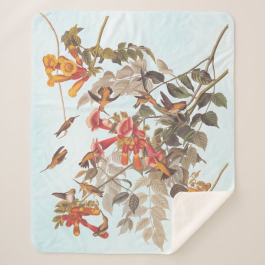 Tropische roofvogels van Audubon Sherpa Deken (Voorkant)