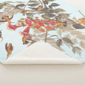 Tropische roofvogels van Audubon Sherpa Deken (3/4)