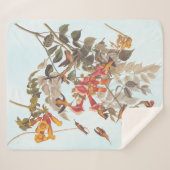 Tropische roofvogels van Audubon Sherpa Deken (Voorkant (horizontaal))