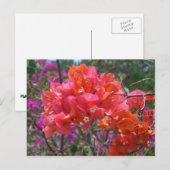 Tropische roze Bougainvillea Island Floral Briefkaart (Voorkant / Achterkant)