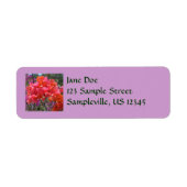 Tropische roze Bougainvillea Island Floral Etiket (Voorkant)