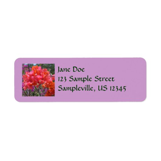 Tropische roze Bougainvillea Island Floral Etiket (Voorkant)