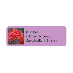Tropische roze Bougainvillea Island Floral Etiket