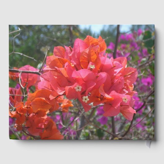 Tropische roze Bougainvillea Island Floral Gastenboek (Achterkant)