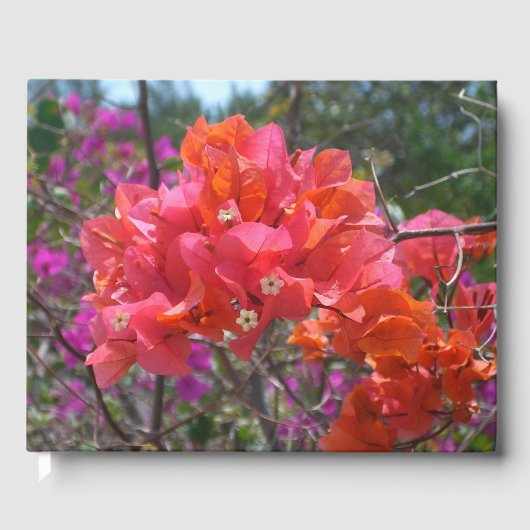 Tropische roze Bougainvillea Island Floral Gastenboek (Voorkant)