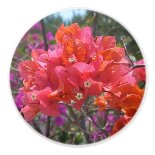 Tropische roze Bougainvillea Island Floral Keramische Knop (Voorkant)