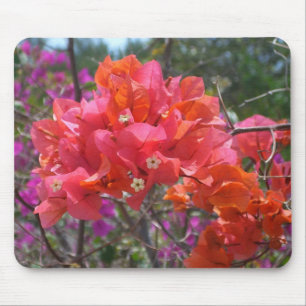 Tropische roze Bougainvillea Island Floral Muismat