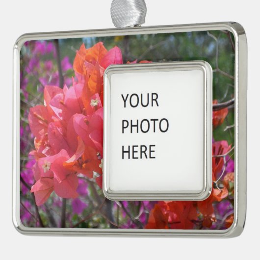 Tropische roze Bougainvillea Island Floral Verzilverd Omlijst Ornament (Links)
