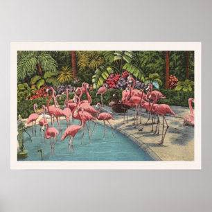 Tropische Roze Flamingo Flamboyance Print