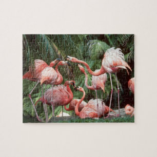 Tropische Roze Flamingo's Familie Rustig Plezier Legpuzzel