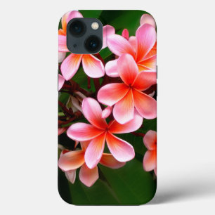 Tropische Roze Groene Plumeria Bloem Bloem Foto iPhone 13 Hoesje