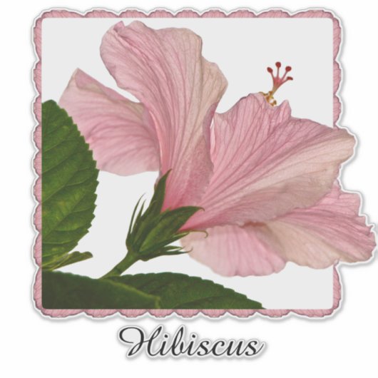 Tropische roze hibiscus Floral fotografie | Naam Sticker (Voorkant)