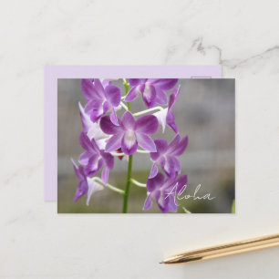 Tropische Roze Orchideeën Bloemen Kauai Briefkaart