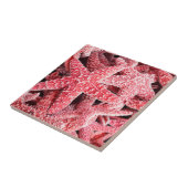 Tropische roze stroop tegeltje (Zijkant)