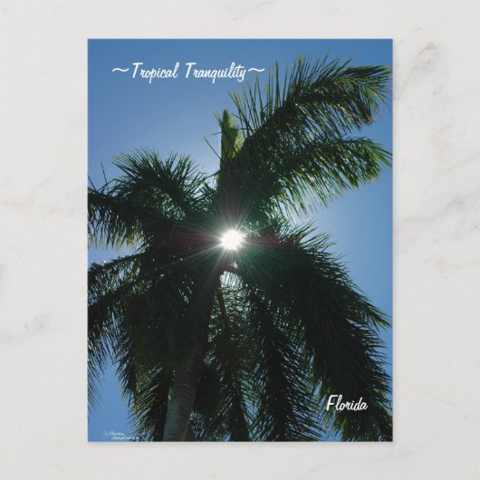 Tropische rust Florida Briefkaart (Voorkant)