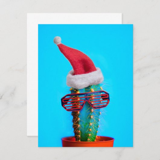 Tropische Santa Cactus (Voorkant / Achterkant)