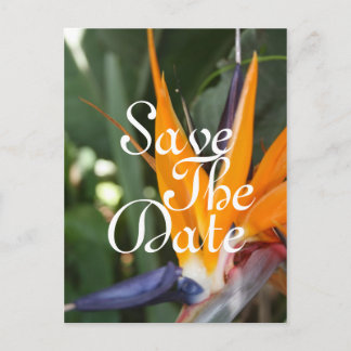 Tropische Save the Date-ansichtkaarten Aankondigingskaart