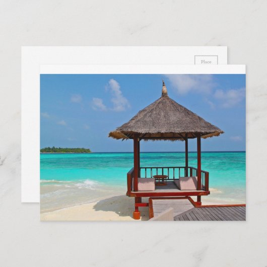 Tropische schelp briefkaart (Voorkant / Achterkant)