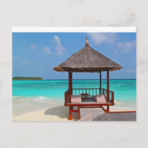 Tropische schelp briefkaart