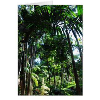 Tropische schoonheid