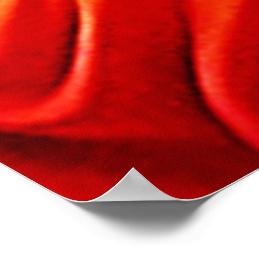 Tropische schoonheid en Blue Parrot Design Poster (Hoek)