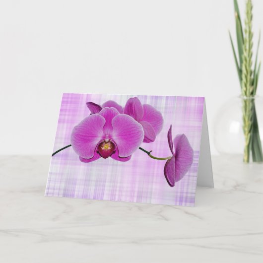 Tropische schoonheid kaart (Voorkant)