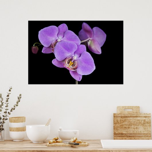 Tropische schoonheid poster (Keuken)