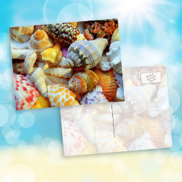 Tropische seashells Fotografie-Briefkaarten Briefkaart