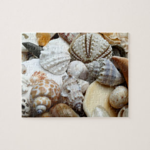 Tropische seashells Fotografie Puzzle Legpuzzel