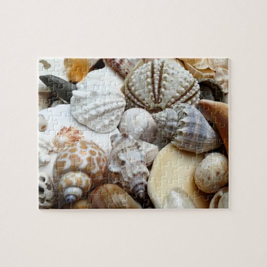 Tropische seashells Fotografie Puzzle Legpuzzel (Horizontaal)