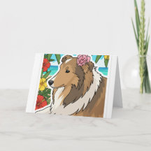Tropische sheltie