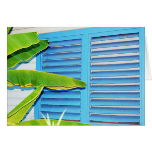 Tropische Shutters