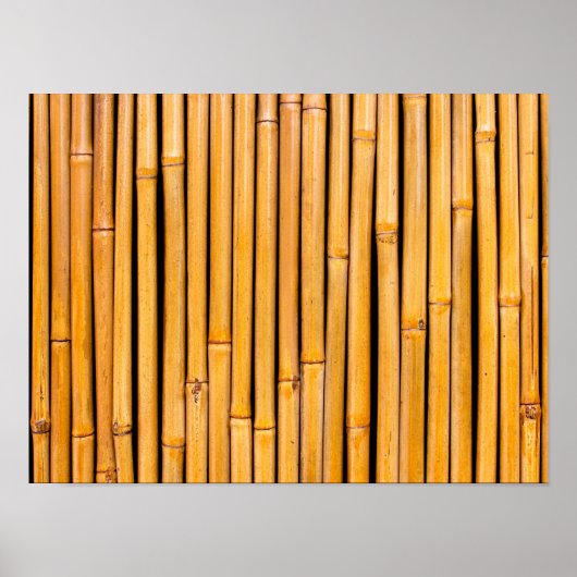 Tropische Sjabloon op de achtergrond van Hawaiian  Poster (Voorkant)