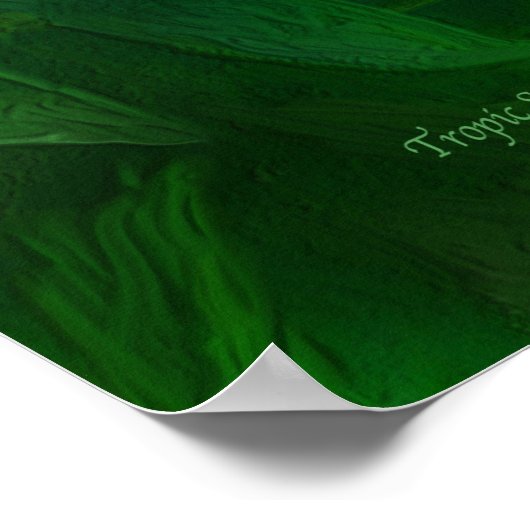 Tropische spirits - Poster voor gouden en blauwe m (Hoek)