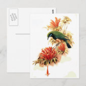 Tropische Splendor Briefkaart (Voorkant / Achterkant)