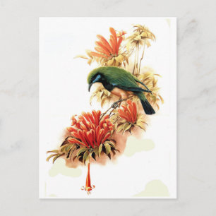 Tropische Splendor Briefkaart