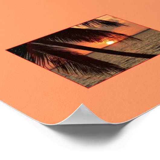 Tropische Splendor Poster (Hoek)