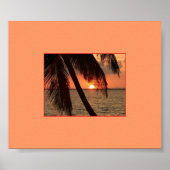 Tropische Splendor Poster (Voorkant)